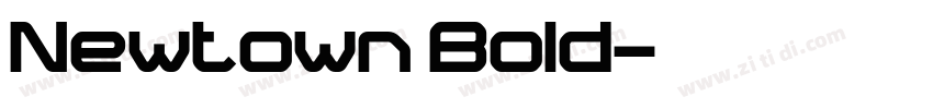 Newtown Bold字体转换